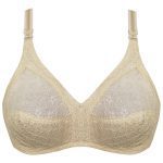 سوتین زنانه پانیذ کد 3485-C