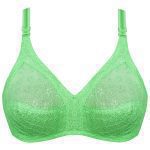 سوتین زنانه پانیذ کد 3485-LGB