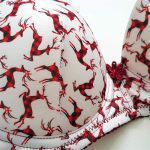 ست شورت و سوتین زنانه لنا مدل پوش آپ فنر دار کد 4378-2