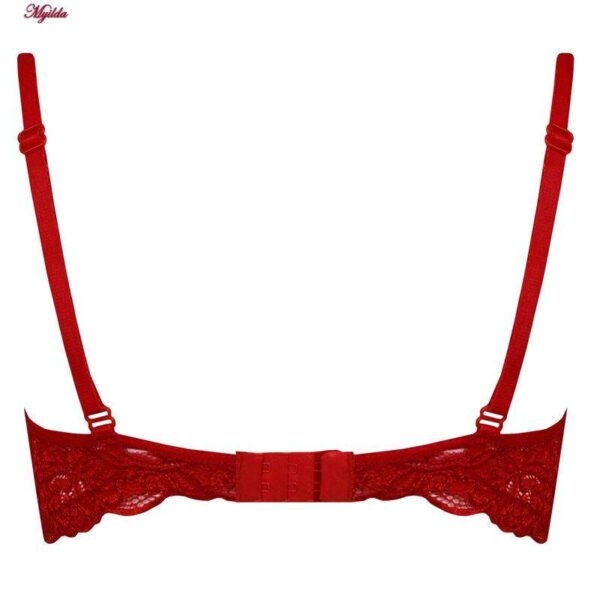 سوتین زنانه ایزابلا مدل پولکی هارنس فنردار کد 4459-08 رنگ قرمز سوتین زنانه ایزابلا مدل پولکی هارنس فنردار کد 4459-08 رنگ قرمز