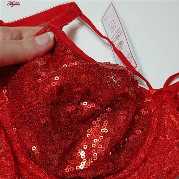 سوتین زنانه ایزابلا مدل پولکی هارنس فنردار کد 4459-08 رنگ قرمز سوتین زنانه ایزابلا مدل پولکی هارنس فنردار کد 4459-08 رنگ قرمز