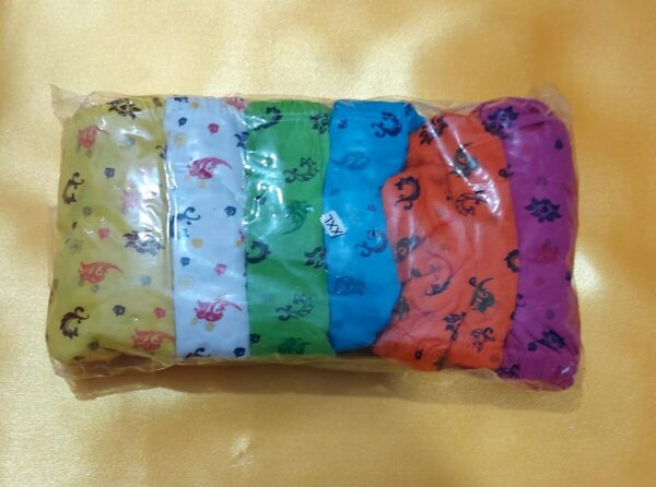 شورت زنانه اسلیپ 6 عددی کد R-309 - Image 2