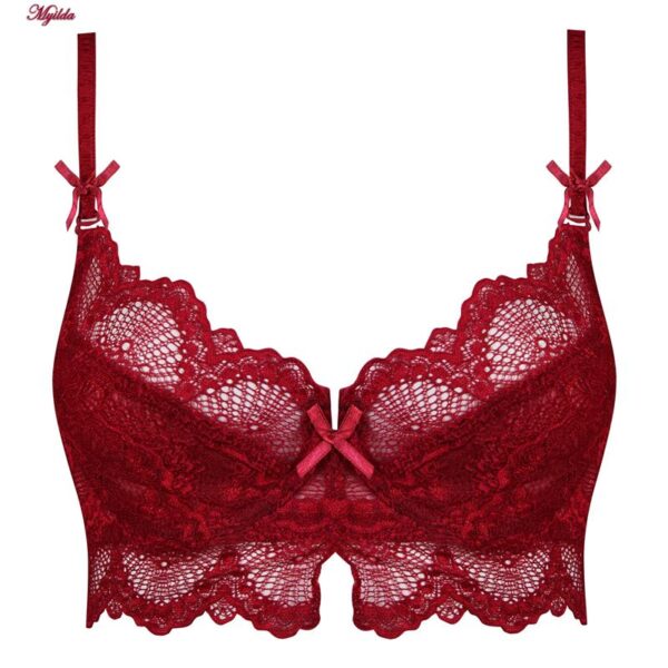 سوتین زنانه چانبی شو مدل فنردار گیپوری کد 4796 رنگ زرشکی سوتین زنانه چانبی شو مدل فنردار گیپوری کد 4796 رنگ زرشکی