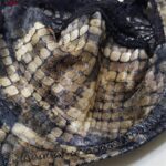 ست شورت و سوتین زنانه کارنا رز مدل فنردار پوست ماری هارنس کد 4875-2047-1 رنگ قهوه ای