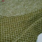 شلوارک ورزشی زنانه ماییلدا مدل پشت چین دار کد 4846 رنگ سبز