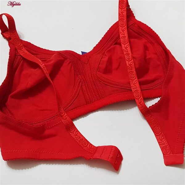 سوتین زنانه پانیذ مدل بدون فنر کد 66368 رنگ قرمز