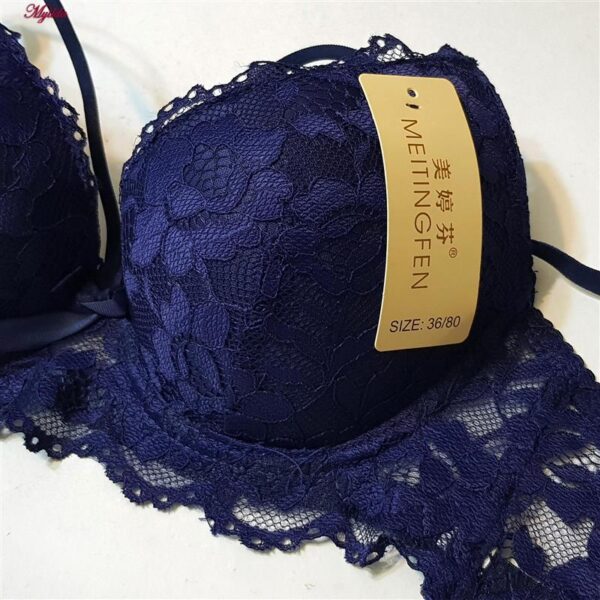 سوتین زنانه فنردار مدل پوش آپ هارنس کد 5249-230 رنگ سرمه ای