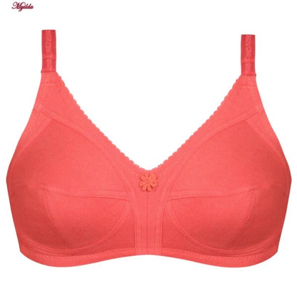 سوتین بدون فنر زنانه پانیذ مدل 66321 رنگ گلبهی