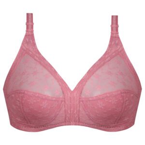 سوتین بدون فنر زنانه پانیذ کد 66500-NEW رنگ کالباسی