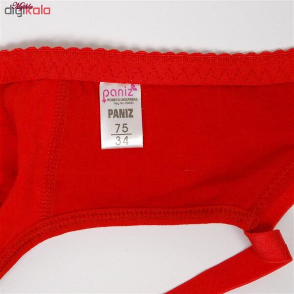 سوتین زنانه پانیذ کد 3171-3