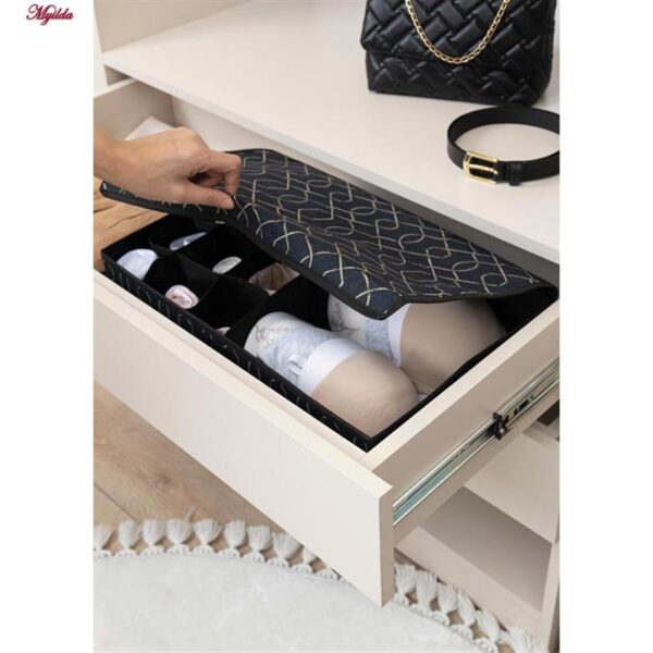 باکس نظم دهنده لیلیوم مدل دوقلو بسته 2 عددی