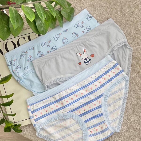 شورت زنانه ماییلدا مدل عروسکی خرگوش و توت فرنگی کد 5336-4 بسته 5 عددی