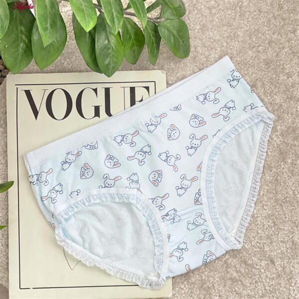 شورت زنانه ماییلدا مدل عروسکی خرگوش و توت فرنگی کد 5336-4 بسته 5 عددی