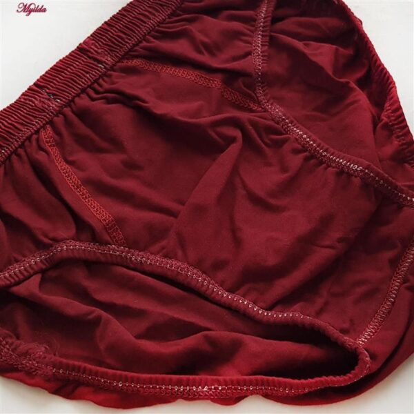 شورت اسلیپ مردانه آیدا جید مدل 5332 بسته 12 عددی