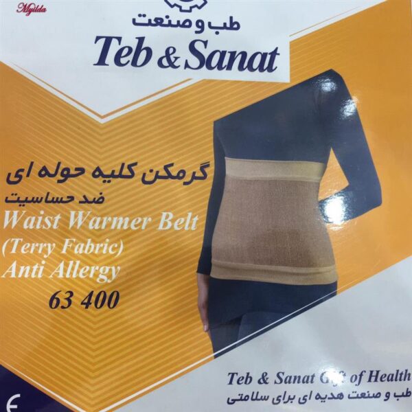 گرمکن کلیه طب و صنعت کد 63400