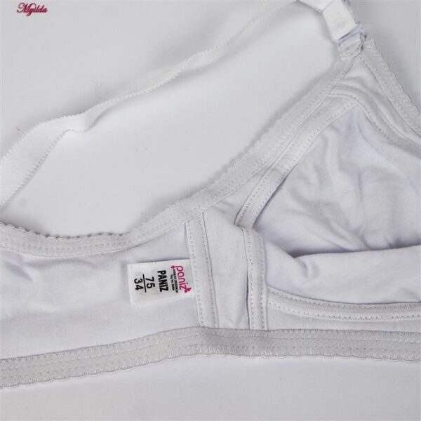 سوتین زنانه پانیذ کد 66368-2