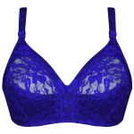 سوتین زنانه پانیذ کد 3169-3