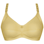 سوتین زنانه پانیذ کد 3171-9