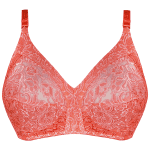 سوتین زنانه پانیذ کد 3170-1