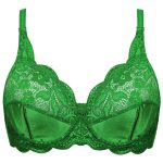 سوتین زنانه پانیذ کد 66302-7