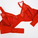 سوتین زنانه پانیذ کد 66348-1