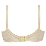 سوتین زنانه پانیذ کد 3485-C