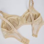 سوتین زنانه پانیذ کد 3485-C