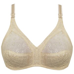 سوتین زنانه پانیذ کد 3485-C