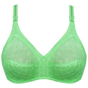 سوتین زنانه پانیذ کد 3485-LGB