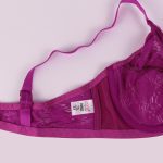 سوتین زنانه پانیذ مدل 66300-RB