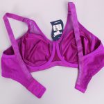 سوتین زنانه پانیذ مدل 22200-PU