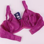 سوتین زنانه پانیذ مدل 66300-RB