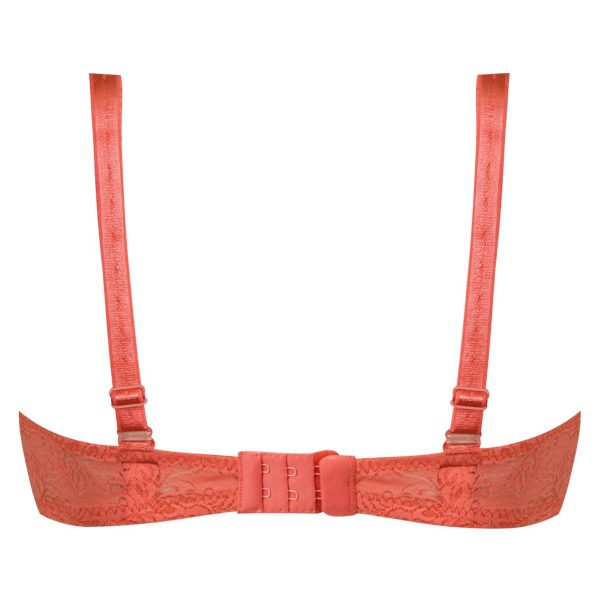 سوتین زنانه پانیذ مدل 66300-GOL