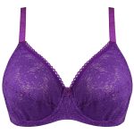 سوتین زنانه پانیذ مدل 66300-PU