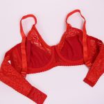 سوتین زنانه پانیذ مدل 663552-R