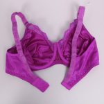 سوتین زنانه پانیذ مدل 22201-PU