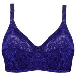 سوتین زنانه پانیذ مدل 66344-N