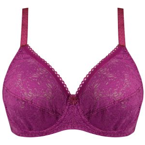 سوتین زنانه پانیذ مدل 66300-RB