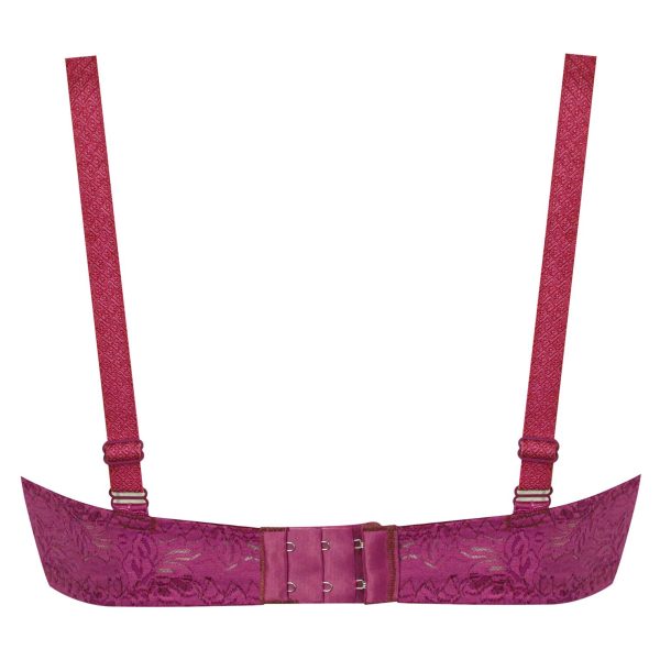 سوتین زنانه پانیذ مدل 66300-RB