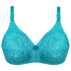 سوتین زنانه پانیذ مدل 3170