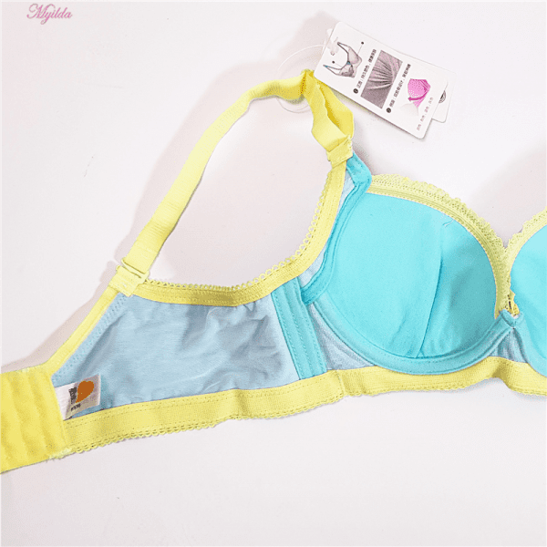 سوتین زنانه مدل پوش آپ کد 3782 رنگ آبی