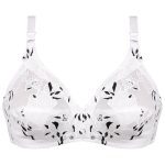 سوتین زنانه پانیذ مدل بدون فنر کد 66508-5 رنگ سفید