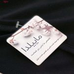 نیم تنه زنانه ماییلدا مدل 4111-262 رنگ مشکی