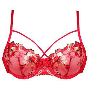 سوتین زنانه کارنا رز مدل گیپور کد 3388-1 رنگ قرمز