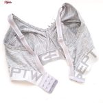 سوتین زنانه پانیذ مدل بدون فنر کد 66385-2 رنگ طوسی