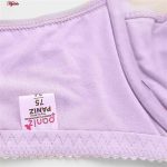 ست شورت و سوتین زنانه پانیذ مدل فنردار کد 9046 رنگ بنفش