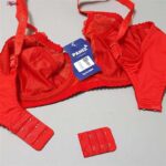 سوتین زنانه پانیذ مدل فنردار گیپوری کد 44400 رنگ قرمز