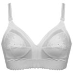 سوتین زنانه پانیذ کد 3166-33