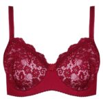 سوتین زنانه پانیذ مدل فنردار کد 66370-new رنگ زرشکی