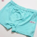 شورت پسرانه کوزا مدل پادار پنبه ای کد 4595 رنگ آبی روشن